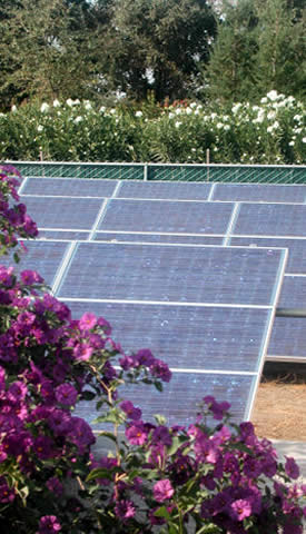 Mountain Ranch Solar Energy Contractor